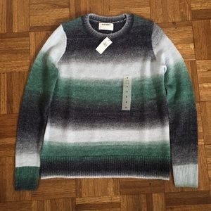 NWT blue ombré sweater